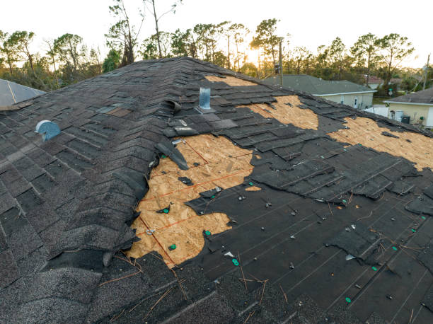 Best Tile Roofing Installation  in Imlay City, MI