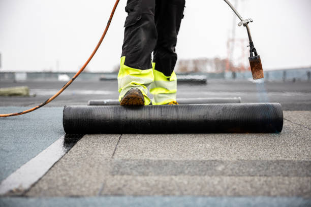 Best Storm Damage Roof Repair  in Imlay City, MI